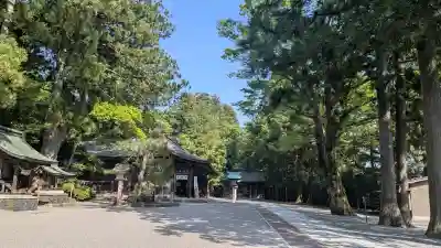 雄山神社前立社壇の{uncategorized: "未分類", other: "その他", undefined: "問題あり", building: "その他建物", grave: "お墓", sacred_gate: "鳥居", guardian: "狛犬", statue: "像", buddha: "仏像", history: "歴史", nature: "自然", garden: "庭園", animal: "動物", pagoda: "塔", temizu: "手水舎", mountain_gate: "山門・神門", sanctuary: "本殿・本堂", subordinate: "末社・摂社", art: "芸術", scenery: "景色", jizo: "地蔵", ema: "絵馬", goshuin: "御朱印", omikuji: "おみくじ", items: "授与品その他", amulet: "お守り", goshuincho: "御朱印帳", eats: "食事", festival: "お祭り", votive_dance: "神楽", shichigosan: "七五三参", wedding: "結婚式", experience: "体験その他", initially: "初詣", around: "周辺", anti_infection: "感染症対策"}