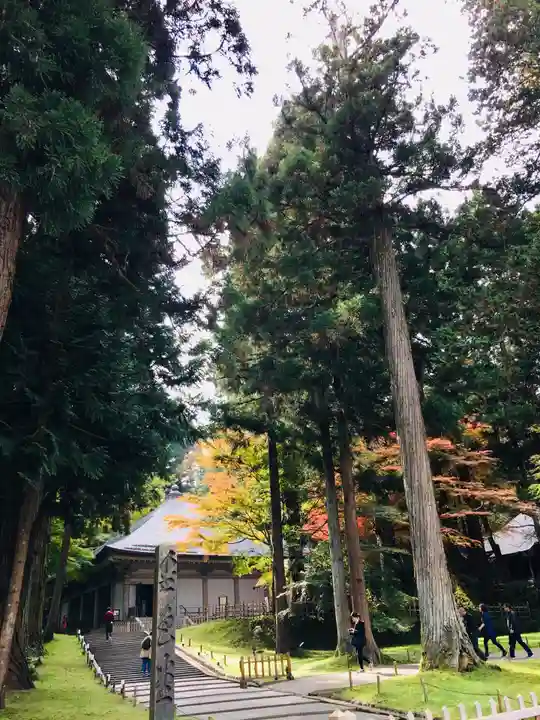 中尊寺本堂の自然