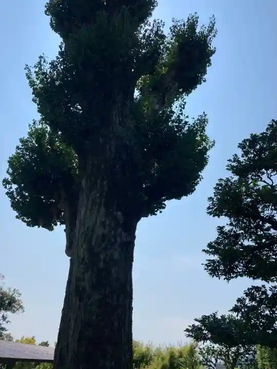 霊寿院(神奈川県)