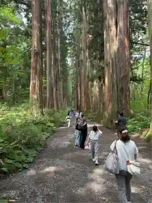 戸隠神社奥社(長野県)