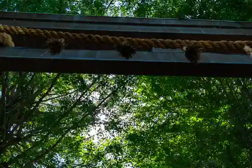 諏訪大社上社前宮(長野県)