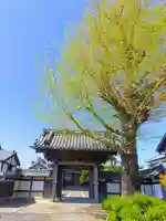 専念寺の山門・神門