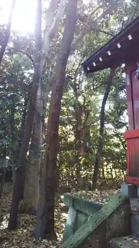 鷲宮神社の自然