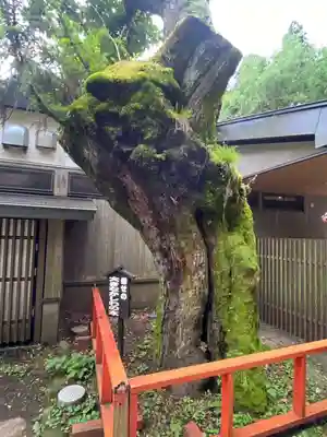 箱根神社(神奈川県)