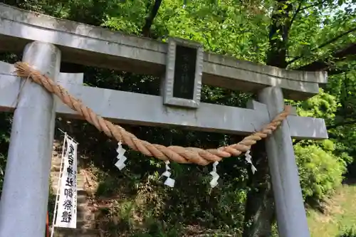 愛宕神社の鳥居