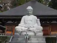 御誕生寺(猫寺)(福井県)