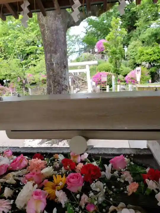 鳩森八幡神社(東京都)