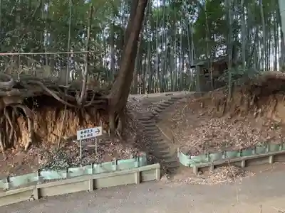 八幡神社(千葉県)