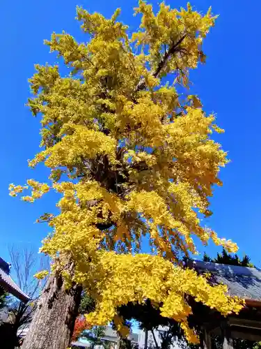 浄光寺(愛知県)