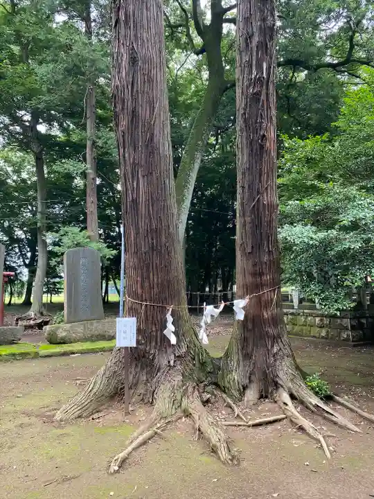 東蕗田天満社(茨城県)