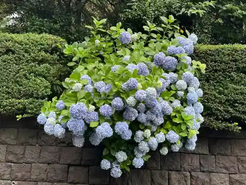 千鳥ヶ淵戦没者墓苑(東京都)