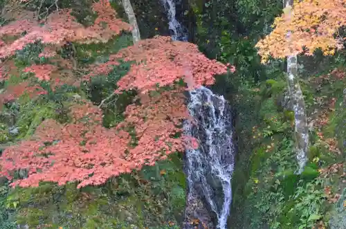 慈恩護国禅寺の庭園