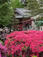 根津神社(東京都)