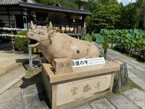 三室戸寺(京都府)