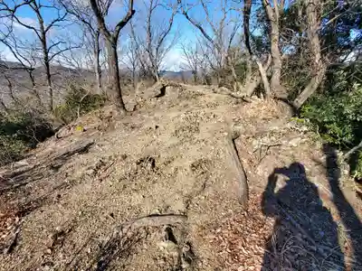 雷電神社 奥の院（助戸東山町）(栃木県)
