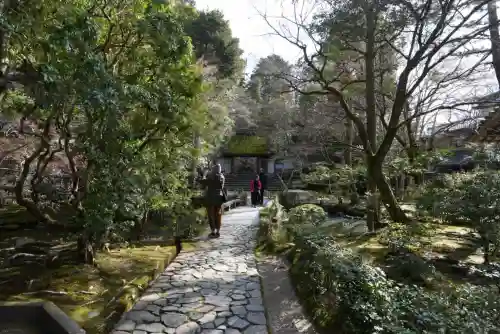 法然院の{uncategorized: "未分類", other: "その他", undefined: "問題あり", building: "その他建物", grave: "お墓", sacred_gate: "鳥居", guardian: "狛犬", statue: "像", buddha: "仏像", history: "歴史", nature: "自然", garden: "庭園", animal: "動物", pagoda: "塔", temizu: "手水舎", mountain_gate: "山門・神門", sanctuary: "本殿・本堂", subordinate: "末社・摂社", art: "芸術", scenery: "景色", jizo: "地蔵", ema: "絵馬", goshuin: "御朱印", omikuji: "おみくじ", items: "授与品その他", amulet: "お守り", goshuincho: "御朱印帳", eats: "食事", festival: "お祭り", votive_dance: "神楽", shichigosan: "七五三参", wedding: "結婚式", experience: "体験その他", initially: "初詣", around: "周辺", anti_infection: "感染症対策"}