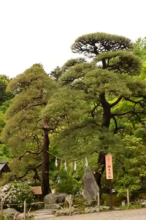 宝登山神社(埼玉県)