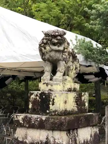 出雲大神宮の狛犬