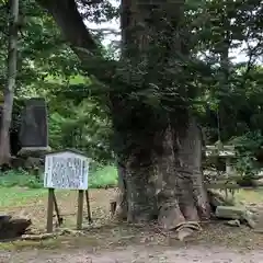 日吉神社(秋田県)