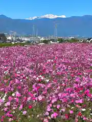 矢彦神社(長野県)