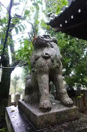 姫路神社の狛犬