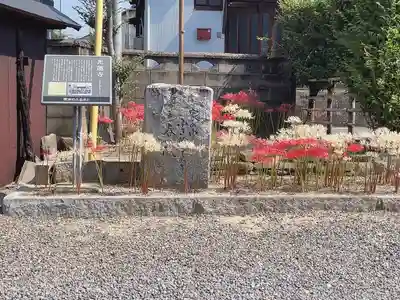 光蓮寺(愛知県)