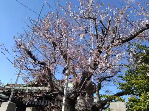 素盞男神社(愛知県)