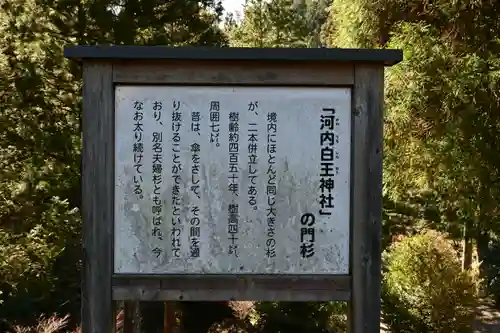 河内白王神社(高知県)