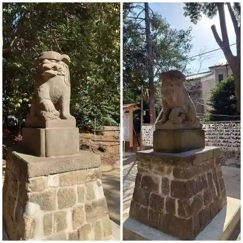 中山神社の狛犬