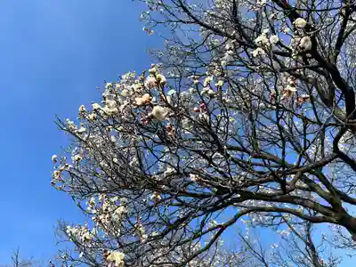 眞田神社(長野県)
