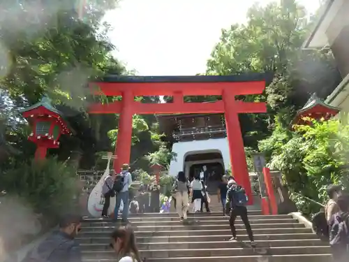 江島神社の鳥居