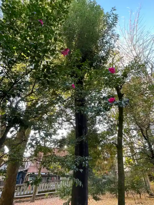若宮神明社(愛知県)