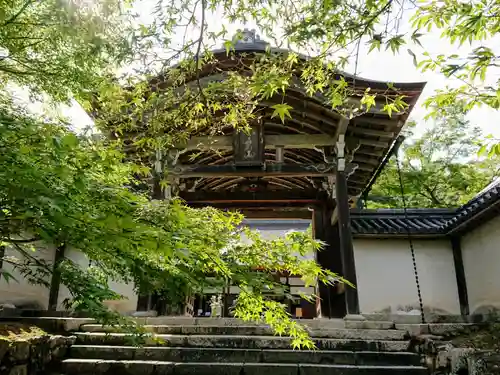二尊院の山門・神門