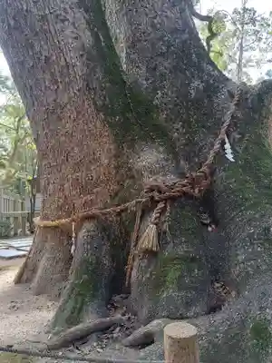 伊弉諾神宮(兵庫県)