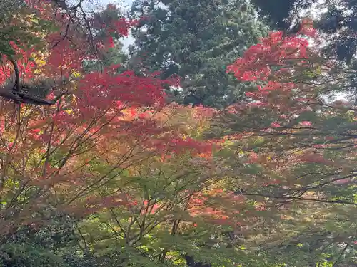 中尊寺(岩手県)