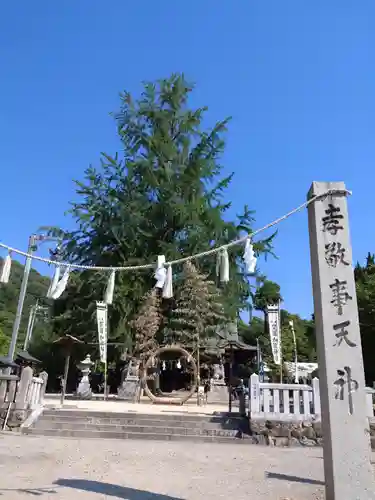 賀羅加波神社の建物その他