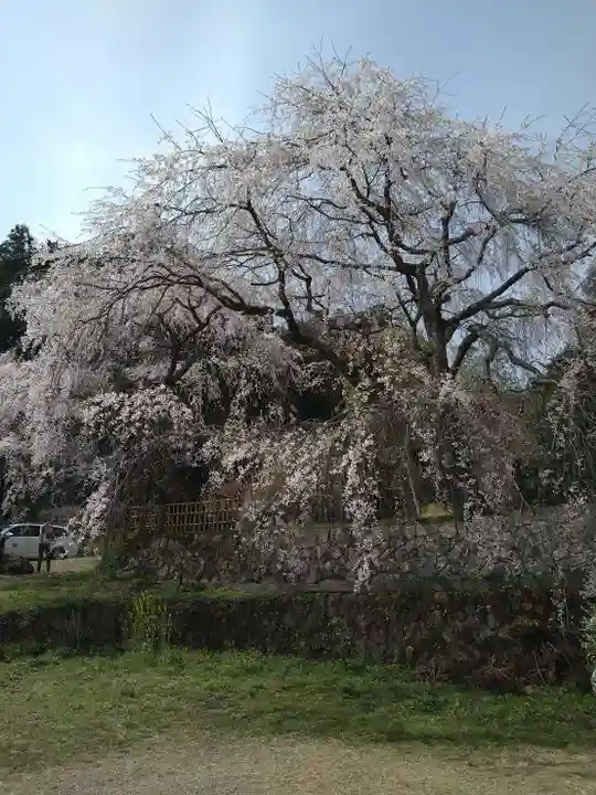 石内のお大師さん 金剛院(広島県)