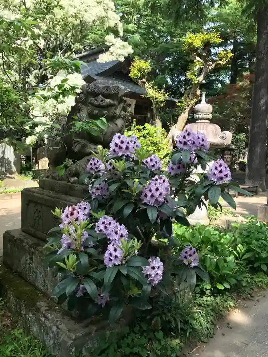 大宝八幡宮(茨城県)