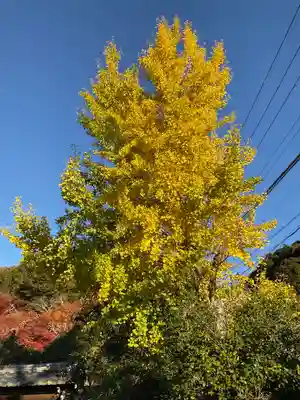 霊鑑寺門跡(京都府)