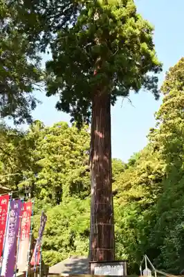 清水寺(島根県)