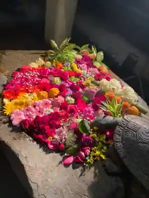 杉杜白髭神社の手水舎