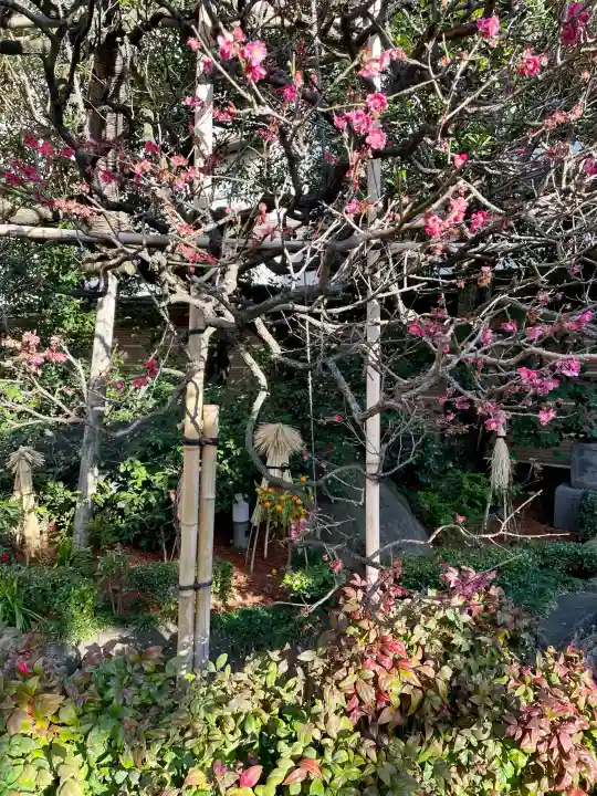 とげぬき地蔵尊 高岩寺の{uncategorized: "未分類", other: "その他", undefined: "問題あり", building: "その他建物", grave: "お墓", sacred_gate: "鳥居", guardian: "狛犬", statue: "像", buddha: "仏像", history: "歴史", nature: "自然", garden: "庭園", animal: "動物", pagoda: "塔", temizu: "手水舎", mountain_gate: "山門・神門", sanctuary: "本殿・本堂", subordinate: "末社・摂社", art: "芸術", scenery: "景色", jizo: "地蔵", ema: "絵馬", goshuin: "御朱印", omikuji: "おみくじ", items: "授与品その他", amulet: "お守り", goshuincho: "御朱印帳", eats: "食事", festival: "お祭り", votive_dance: "神楽", shichigosan: "七五三参", wedding: "結婚式", experience: "体験その他", initially: "初詣", around: "周辺", anti_infection: "感染症対策"}