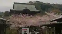 建長寺の{uncategorized: "未分類", other: "その他", undefined: "問題あり", building: "その他建物", grave: "お墓", sacred_gate: "鳥居", guardian: "狛犬", statue: "像", buddha: "仏像", history: "歴史", nature: "自然", garden: "庭園", animal: "動物", pagoda: "塔", temizu: "手水舎", mountain_gate: "山門・神門", sanctuary: "本殿・本堂", subordinate: "末社・摂社", art: "芸術", scenery: "景色", jizo: "地蔵", ema: "絵馬", goshuin: "御朱印", omikuji: "おみくじ", items: "授与品その他", amulet: "お守り", goshuincho: "御朱印帳", eats: "食事", festival: "お祭り", votive_dance: "神楽", shichigosan: "七五三参", wedding: "結婚式", experience: "体験その他", initially: "初詣", around: "周辺", anti_infection: "感染症対策"}