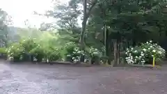 賀茂別雷神社の建物その他