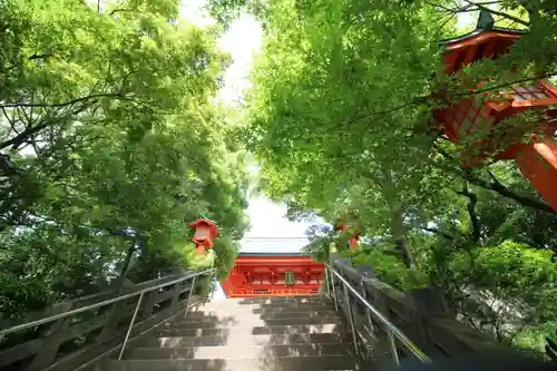 穴八幡宮(東京都)