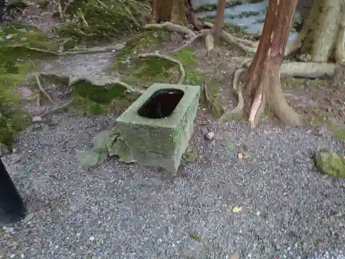 出雲大神宮の手水舎