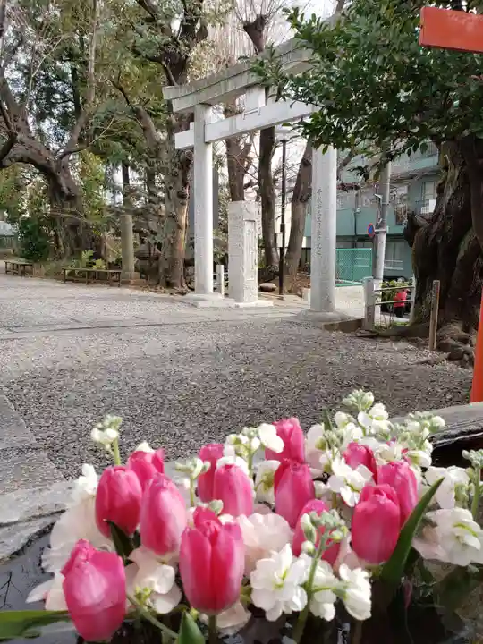 本郷氷川神社(東京都)