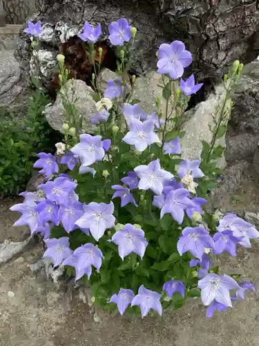満月寺（浮御堂）の自然