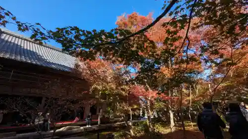 圓光寺(京都府)