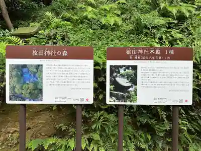 猿田神社(千葉県)